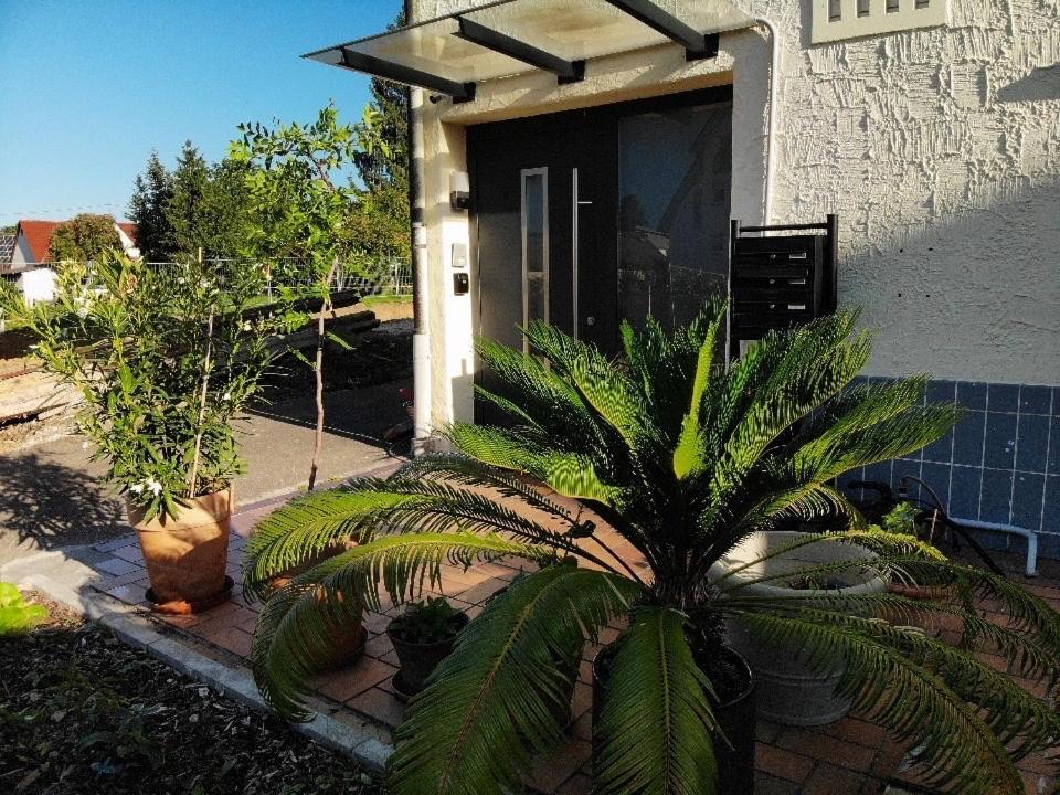 Gemuetliche 3 Zimmer Wohnung Mit Grosszuegiger Terrasse Im Gruenen Reutlingen Exterior foto
